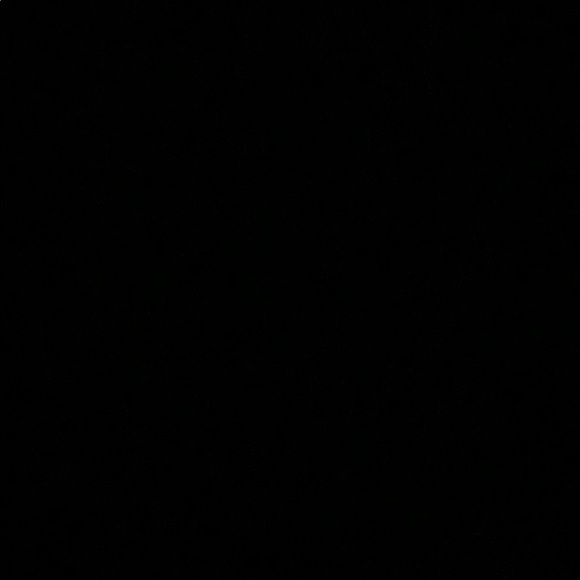 Meet your Posher, Lilly - Picture 1 of 1